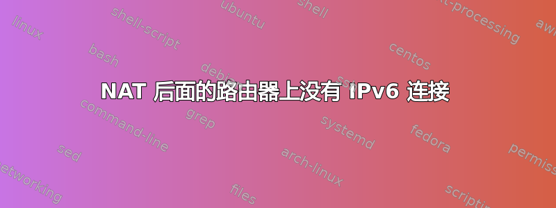 NAT 后面的路由器上没有 IPv6 连接