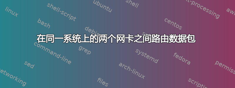 在同一系统上的两个网卡之间路由数据包