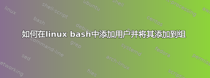 如何在linux bash中添加用户并将其添加到组