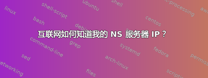 互联网如何知道我的 NS 服务器 IP？