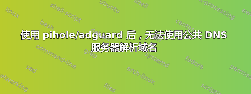 使用 pihole/adguard 后，无法使用公共 DNS 服务器解析域名