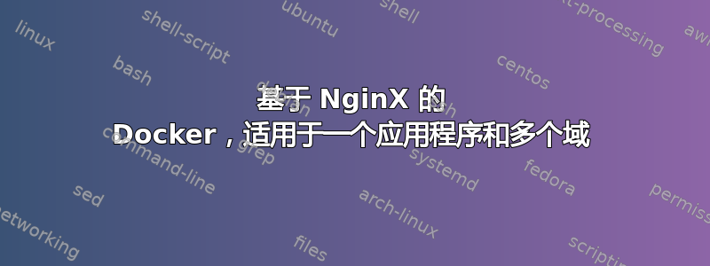 基于 NginX 的 Docker，适用于一个应用程序和多个域