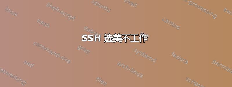 SSH 选美不工作