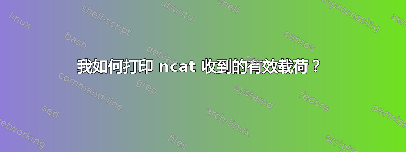 我如何打印 ncat 收到的有效载荷？