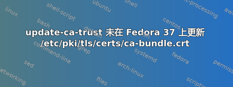 update-ca-trust 未在 Fedora 37 上更新 /etc/pki/tls/certs/ca-bundle.crt