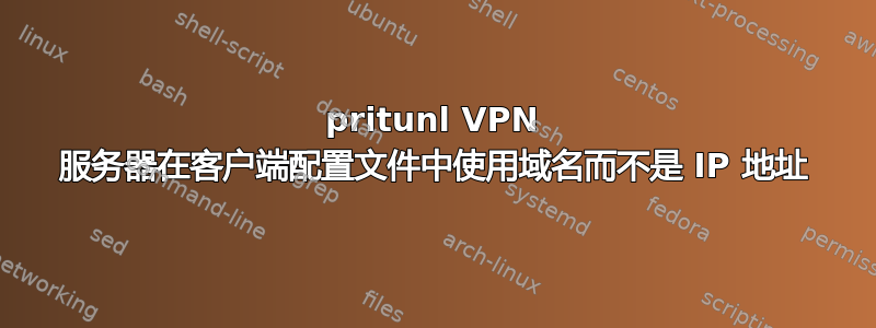 pritunl VPN 服务器在客户端配置文件中使用域名而不是 IP 地址