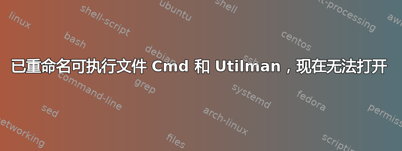 已重命名可执行文件 Cmd 和 Utilman，现在无法打开