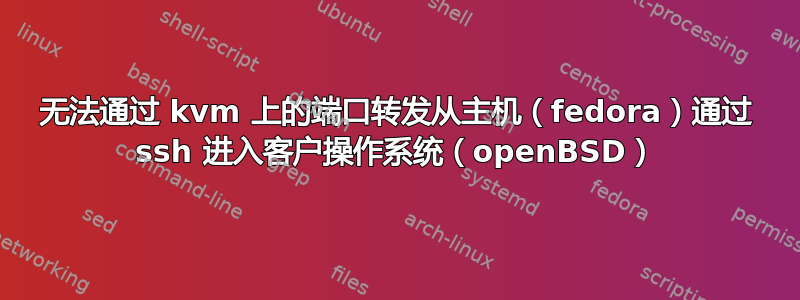 无法通过 kvm 上的端口转发从主机（fedora）通过 ssh 进入客户操作系统（openBSD）