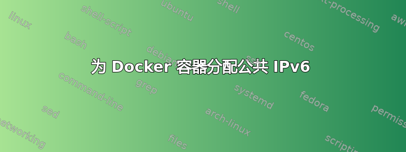 为 Docker 容器分配公共 IPv6