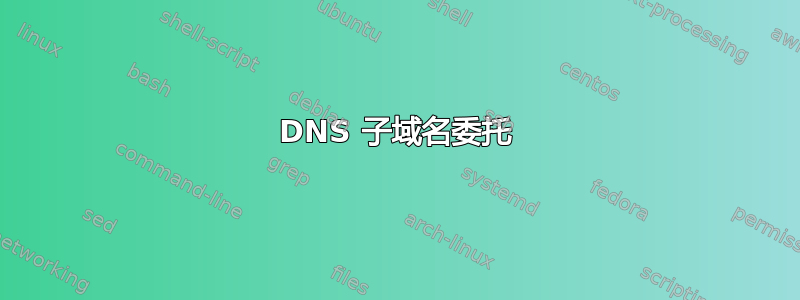 DNS 子域名委托