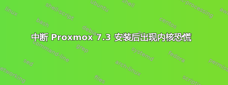 中断 Proxmox 7.3 安装后出现内核恐慌 