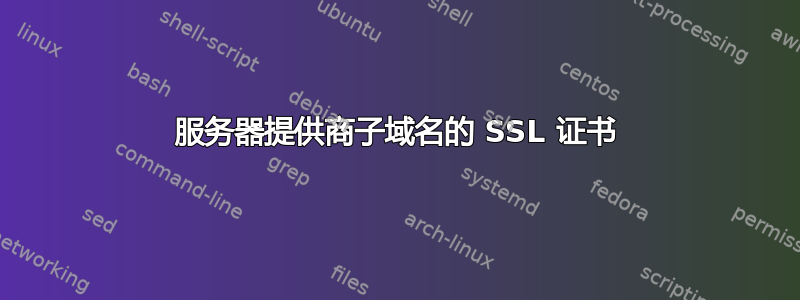 服务器提供商子域名的 SSL 证书