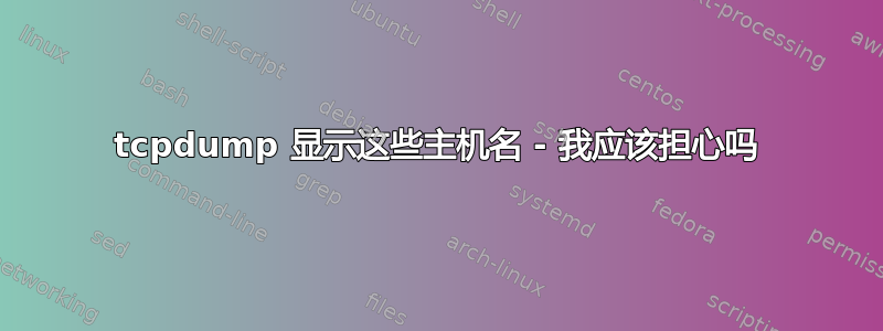 tcpdump 显示这些主机名 - 我应该担心吗