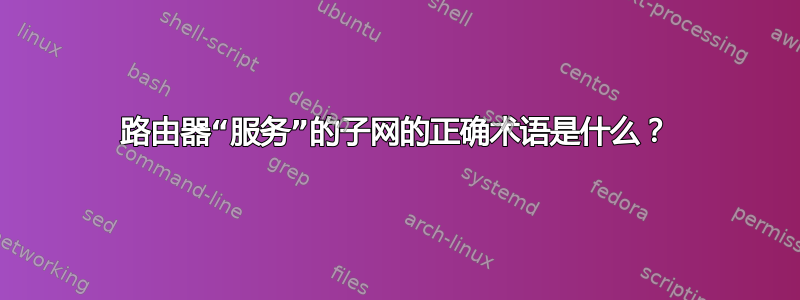 路由器“服务”的子网的正确术语是什么？