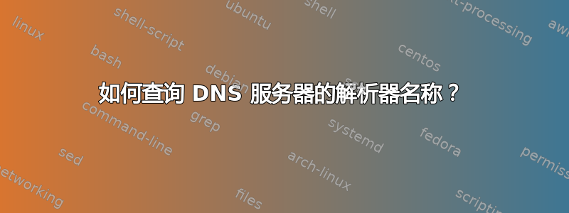 如何查询 DNS 服务器的解析器名称？