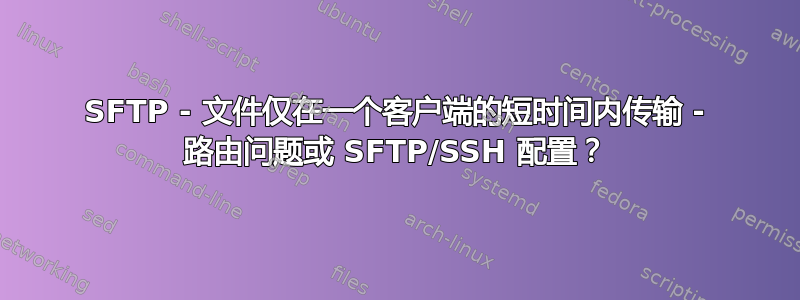 SFTP - 文件仅在一个客户端的短时间内传输 - 路由问题或 SFTP/SSH 配置？