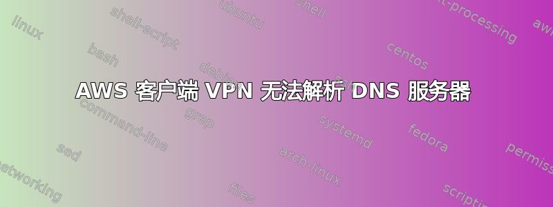 AWS 客户端 VPN 无法解析 DNS 服务器