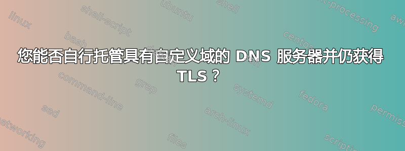 您能否自行托管具有自定义域的 DNS 服务器并仍获得 TLS？