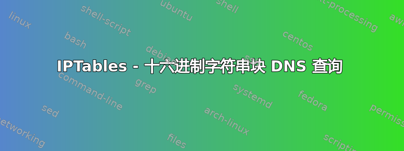 IPTables - 十六进制字符串块 DNS 查询