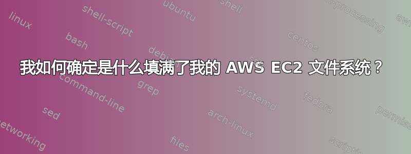 我如何确定是什么填满了我的 AWS EC2 文件系统？