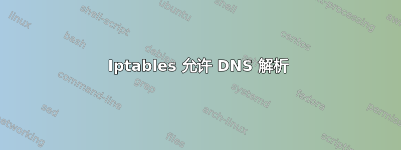 Iptables 允许 DNS 解析