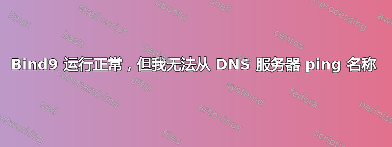 Bind9 运行正常，但我无法从 DNS 服务器 ping 名称