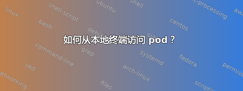 如何从本地终端访问 pod？