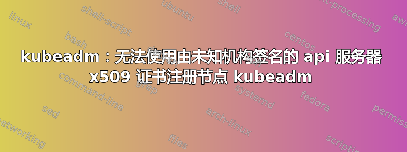 kubeadm：无法使用由未知机构签名的 api 服务器 x509 证书注册节点 kubeadm