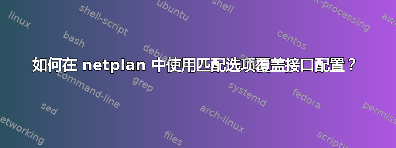 如何在 netplan 中使用匹配选项覆盖接口配置？