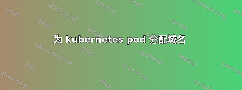 为 kubernetes pod 分配域名