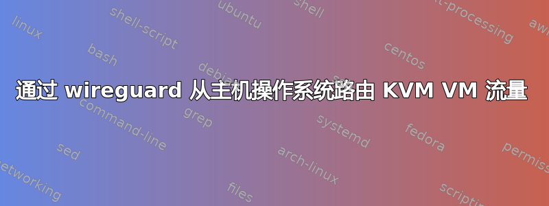 通过 wireguard 从主机操作系统路由 KVM VM 流量