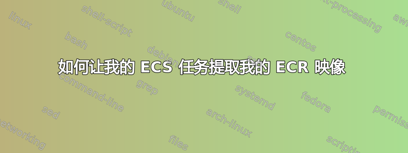 如何让我的 ECS 任务提取我的 ECR 映像