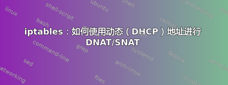 iptables：如何使用动态（DHCP）地址进行 DNAT/SNAT