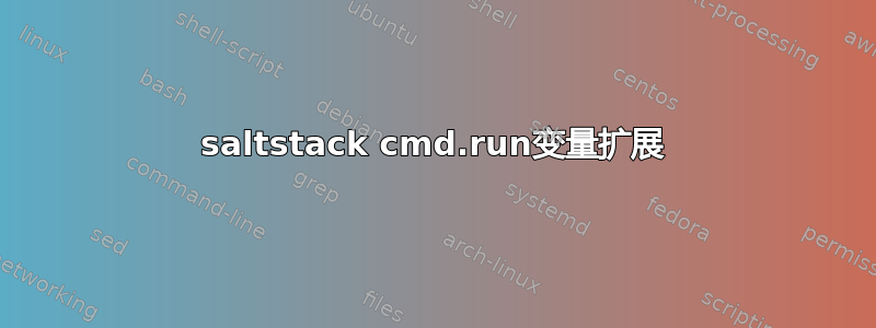 saltstack cmd.run变量扩展