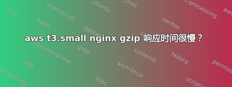 aws t3.small nginx gzip 响应时间很慢？