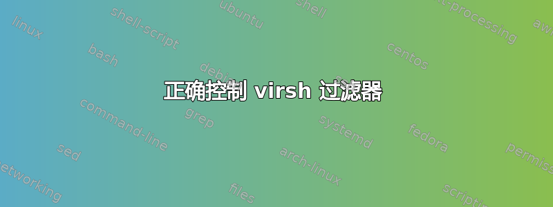 正确控制 virsh 过滤器