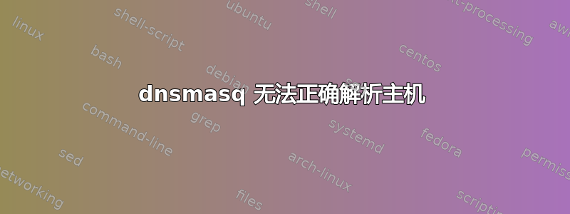 dnsmasq 无法正确解析主机