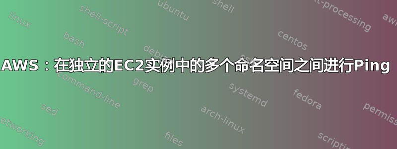 AWS：在独立的EC2实例中的多个命名空间之间进行Ping