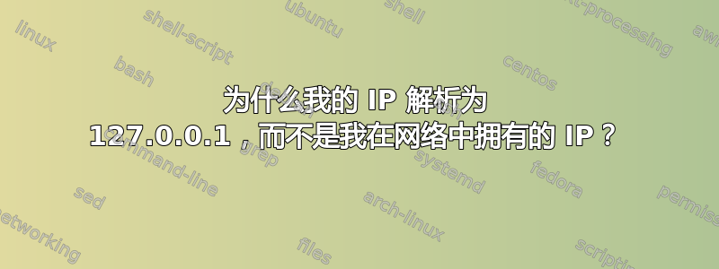 为什么我的 IP 解析为 127.0.0.1，而不是我在网络中拥有的 IP？