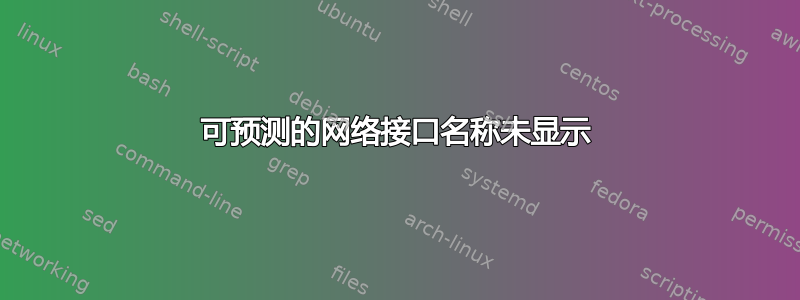 可预测的网络接口名称未显示