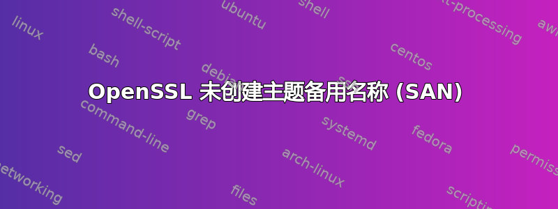 OpenSSL 未创建主题备用名称 (SAN)