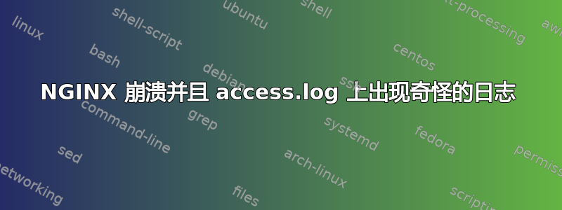 NGINX 崩溃并且 access.log 上出现奇怪的日志