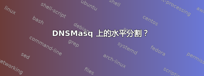 DNSMasq 上的水平分割？