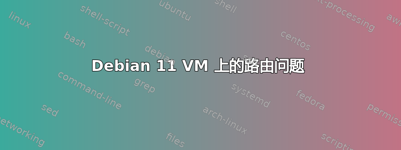 Debian 11 VM 上的路由问题