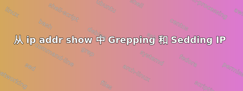 从 ip addr show 中 Grepping 和 Sedding IP