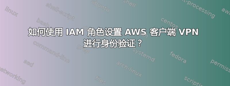 如何使用 IAM 角色设置 AWS 客户端 VPN 进行身份验证？