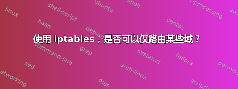 使用 iptables，是否可以仅路由某些域？