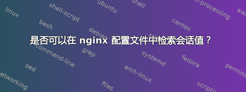 是否可以在 nginx 配置文件中检索会话值？