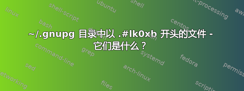 ~/.gnupg 目录中以 .#lk0xb 开头的文件 - 它们是什么？