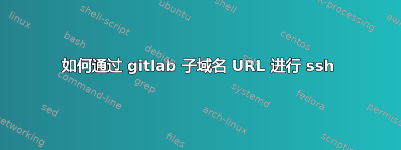 如何通过 gitlab 子域名 URL 进行 ssh